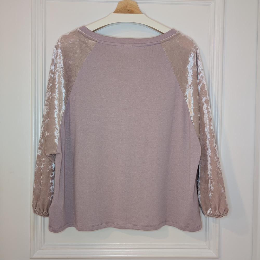 GAP Softspun Velvet Raglan Sleeve Top - Picture 3 of 4